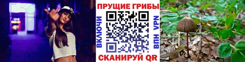 Галлюциногенные грибы GOLDEN TEACHER  Кирово-Чепецк 